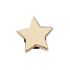 Tiny Gold Simple Star